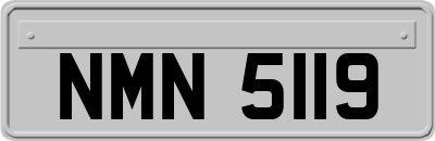 NMN5119