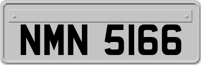 NMN5166