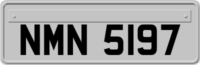 NMN5197