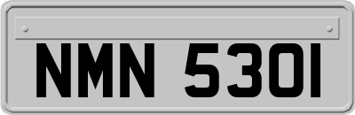 NMN5301