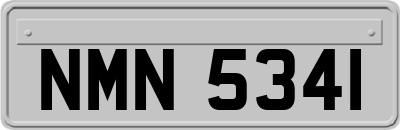 NMN5341