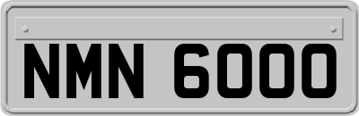 NMN6000