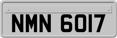 NMN6017