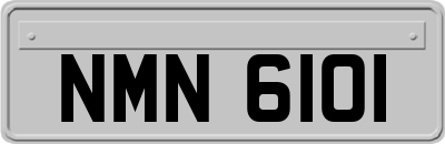 NMN6101