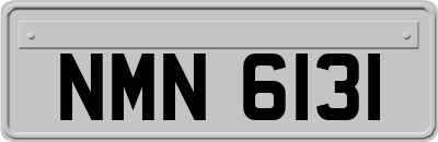 NMN6131