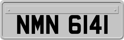 NMN6141
