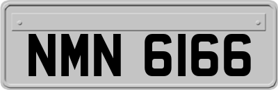 NMN6166