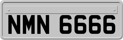 NMN6666