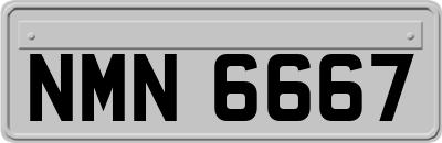 NMN6667