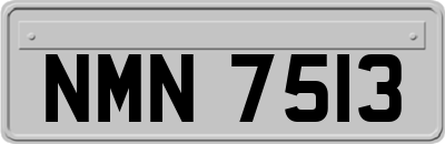 NMN7513