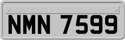 NMN7599