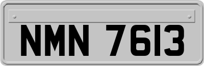 NMN7613
