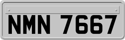 NMN7667