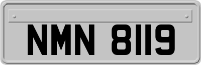 NMN8119