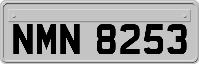 NMN8253