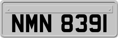 NMN8391