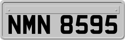 NMN8595