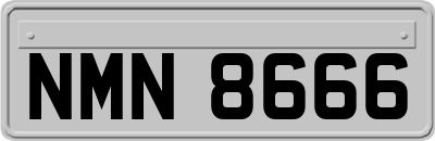 NMN8666