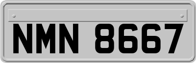 NMN8667