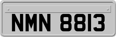 NMN8813