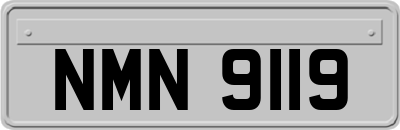 NMN9119