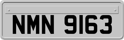 NMN9163