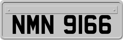 NMN9166