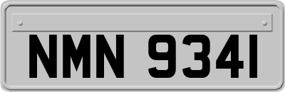 NMN9341