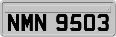 NMN9503