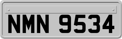 NMN9534