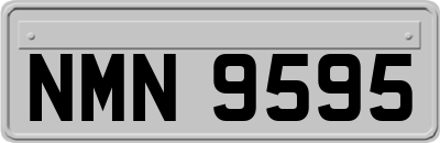 NMN9595