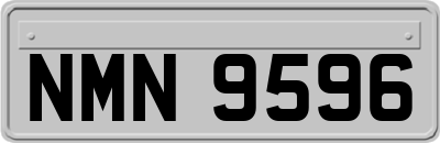 NMN9596