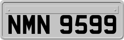 NMN9599