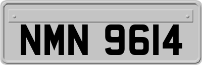 NMN9614