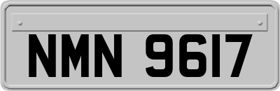 NMN9617