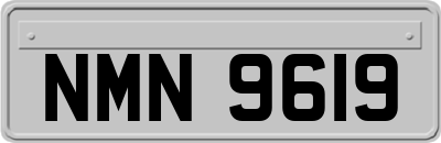 NMN9619