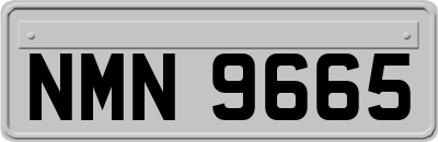 NMN9665