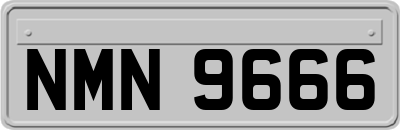 NMN9666