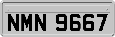 NMN9667
