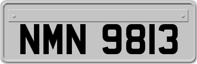 NMN9813