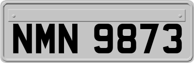 NMN9873