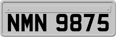 NMN9875