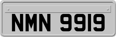 NMN9919