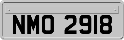 NMO2918