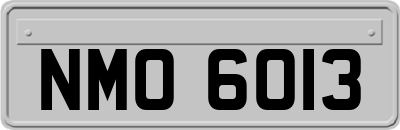 NMO6013