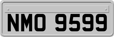 NMO9599