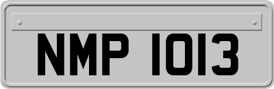 NMP1013