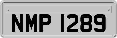 NMP1289