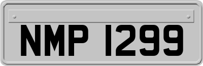 NMP1299