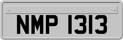 NMP1313